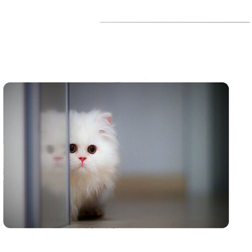 Коврик для мыши 420*290*3 CoolPodarok Белый котёнок выглядывает