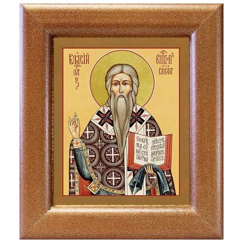 Священномученик Власий Севастийский, икона в широкой рамке 14,5*16,5 см