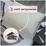 Подушка с лузгой гречихи Лето в подушке, 50*70 - изображение