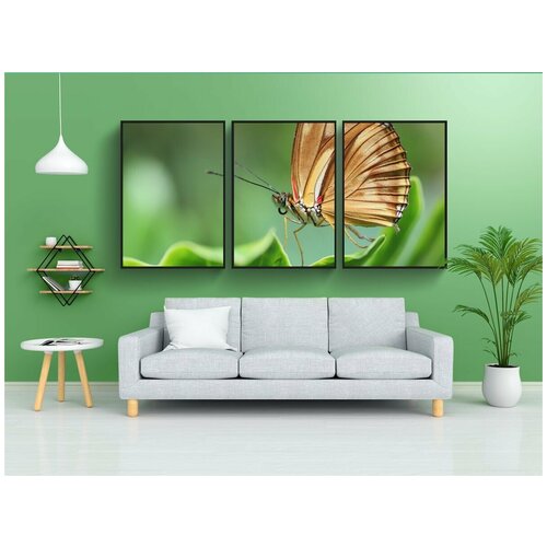 фото Набор модулных постеров для интерьера "бабочка, насекомое, лист" 60x90 см. в тубусе, без рамки lotsprints