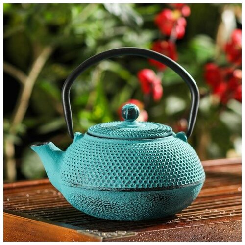 фото Чайник с ситом «мадо», 600 мл, цвет синий qwen