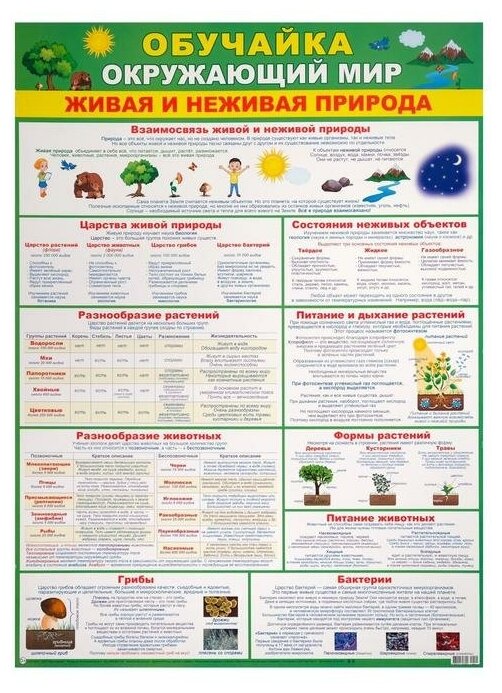 Плакат "Обучайка окружающий мир" зеленый фон, А2