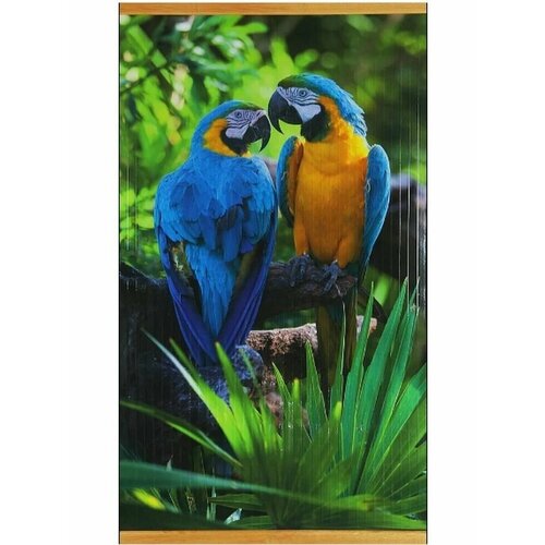 Инфракрасный настенный обогреватель картина Домашний очаг 05 Квт Попугай 132200₽