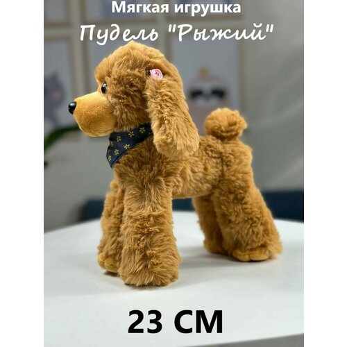 Мягкая игрушка собака Пудель рыжий 23 см, игрушка антистресс мягкая игрушка собака антистресс щенок пудель 23 см