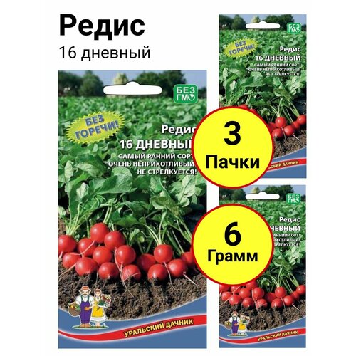 Редис 16 дневный 2г, Уральский дачник - комплект 3 пачки редис 16 дневный 2г уральский дачник комплект 3 пачки