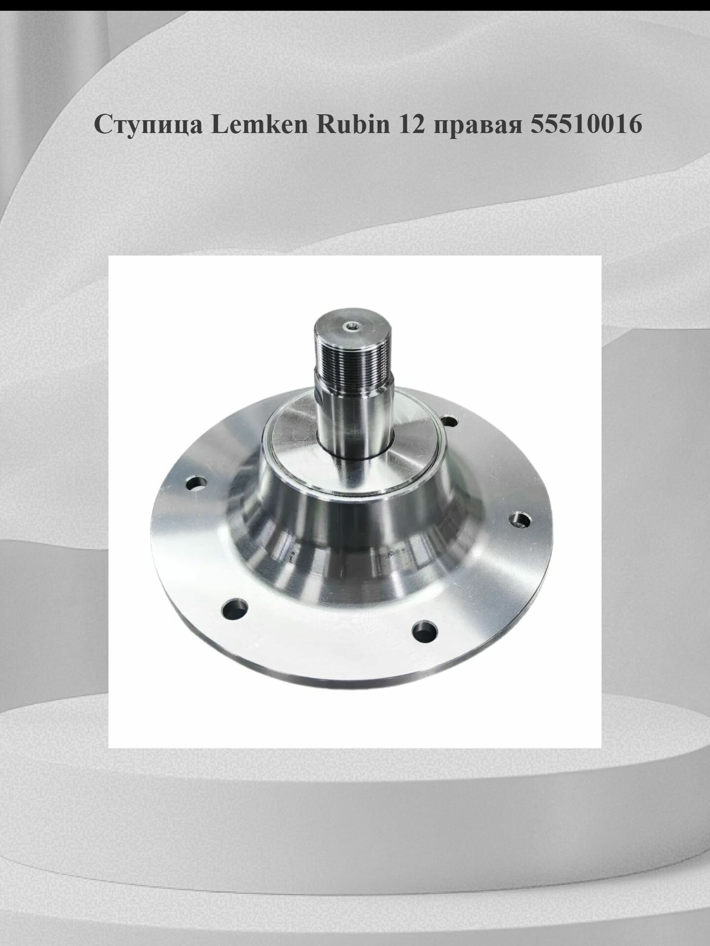 Ступица Lemken Rubin 12 правая 55510016