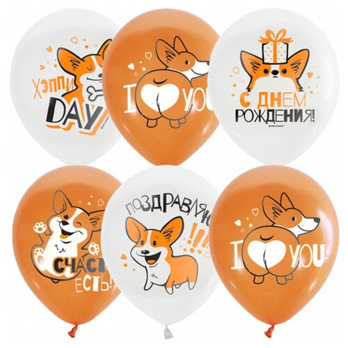 фото Набор воздушных шаров патибум корги. с днем рождения (25 шт.) белый/оранжевый