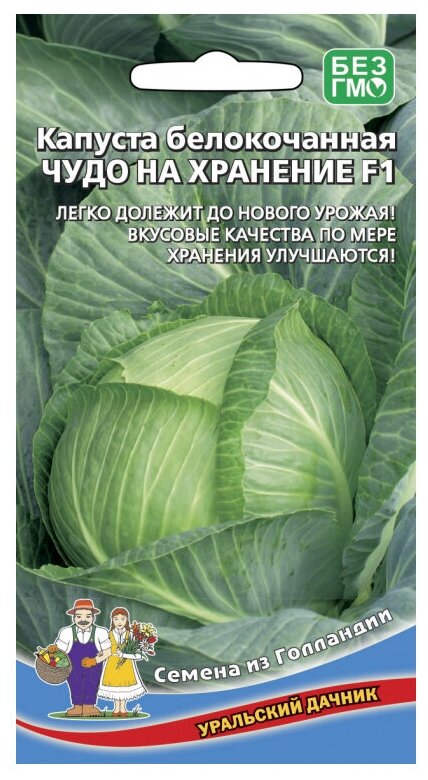 Семена Уральский дачник из Голландии Капуста белокочанная Чудо на хранение F1 0.3 г