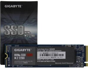 GigaByte NVMe SSD 256 Go (GP-GSM2NE3256GNTD) au meilleur prix sur