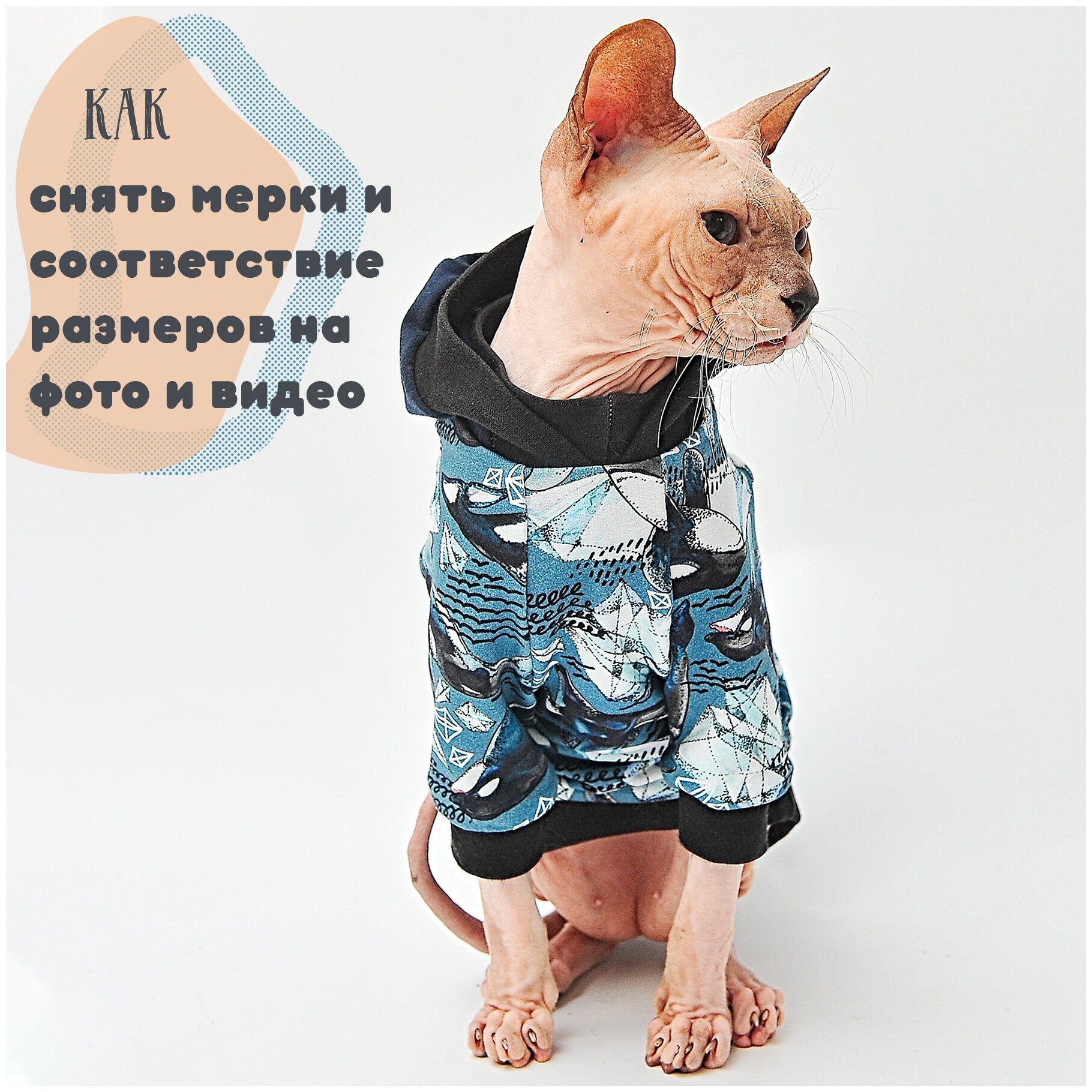 Одежда для кошек Элегантный Кот, толстовка Озорные Косатки , размер M - фотография № 7
