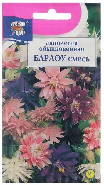 Семена цветов Аквилегия махровая "Барлоу смесь", 0,05 г