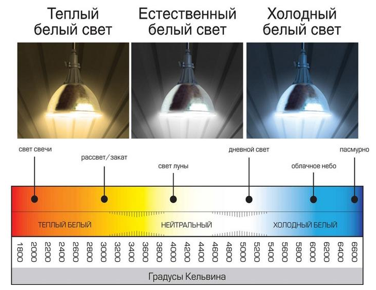 Лампа светодиодная низковольтная DC, А60 12W 4000K 12-48Вт, 1шт. - фотография № 5