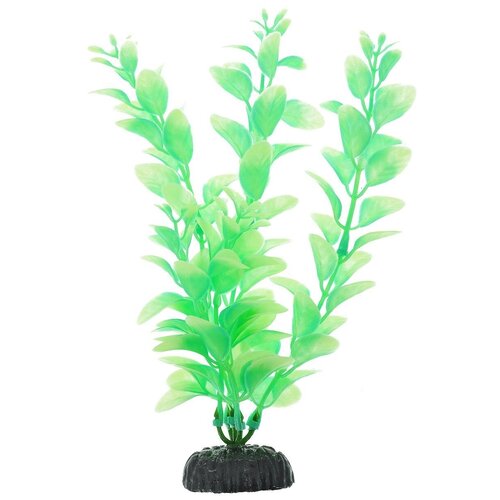 Светящееся в темноте Пластиковое растение Barbus Людвигия 20 см.