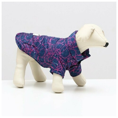 Одежда для животных. Куртка для собак Матрица, размер 8, сине-розовая, 1 шт.
