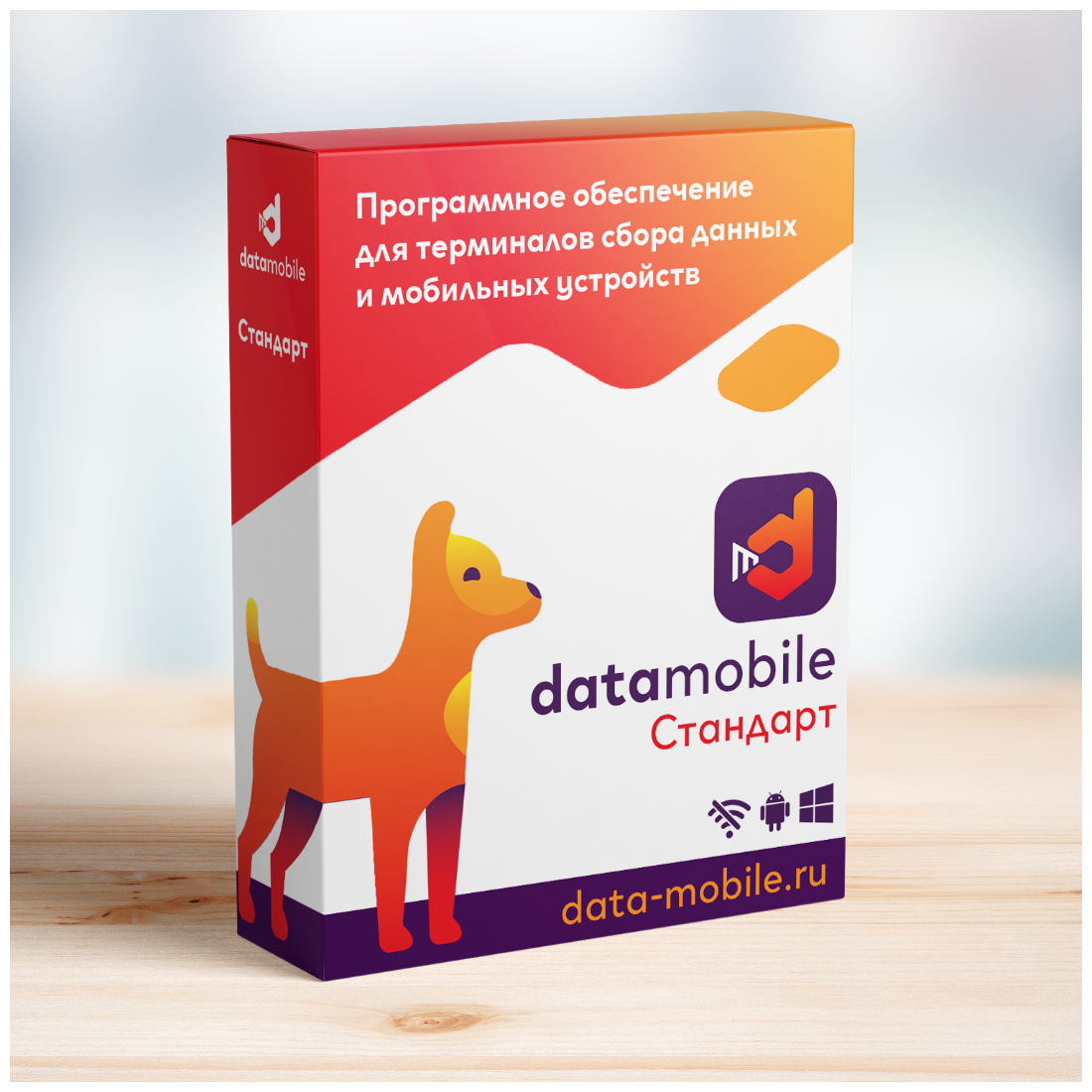 Программное обеспечение для ТСД DataMobile, версия Стандарт Pro (Windows/Android), Lifetime лицензия