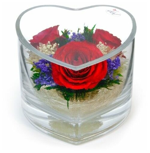 Композиция из натуральных роз в виде сердца (12х12х10,5 см) / Стабилизированные Цветы в стекле / Подарок к 8 марта