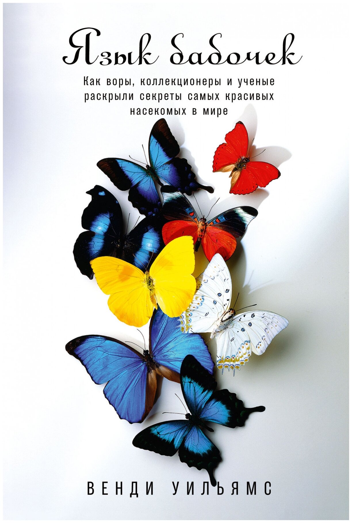 Язык бабочек: Как воры, коллекционеры и ученые раскрыли секреты самых красивых насекомых в мире - фото №1