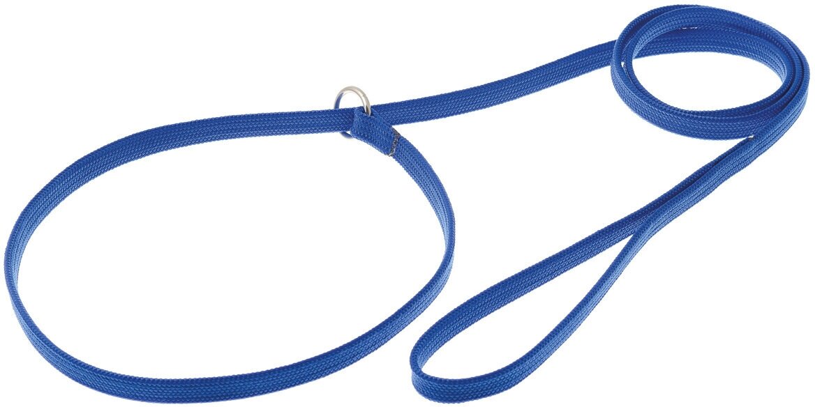 Поводок удавка для собак, с кольцом (лента-чулок) 10мм * 150см, синий