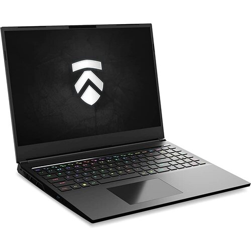 Eluktronics MECH 16 GP RTX 4080 Intel Core i9-13900HX 16 1610 240Hz QHD G-SYNC Panel Thunderbolt 4 2TB NVMe Gen 4 SSD 64GB DDR5 RAM 27500000₽