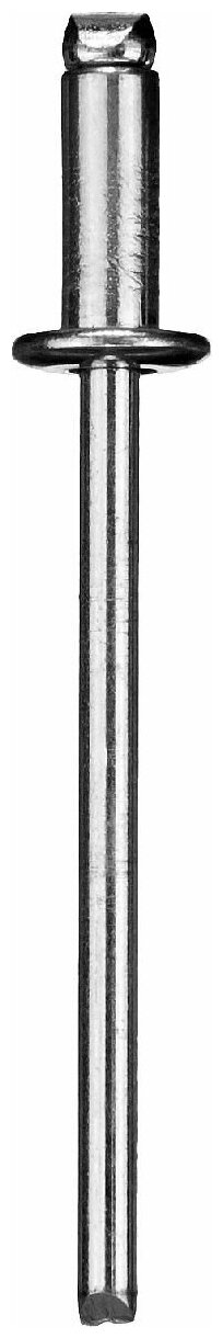 Стальные заклепки ЗУБР Профессионал 3.2 x 8 мм 50 шт. (313126-32-08)