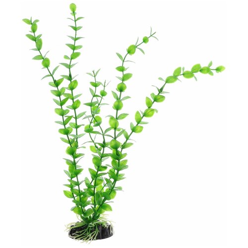 растение для аквариума пластиковое валиснерия спиральная зеленая barbus plant 014 50 см Растение для аквариума пластиковое Бакопа зеленая, BARBUS, Plant 010 (30 см)