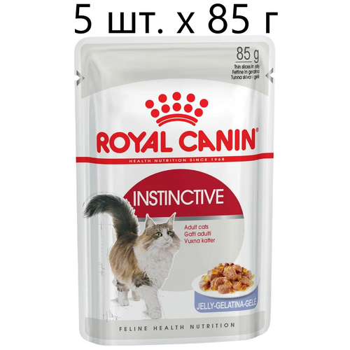 корм для взрослых кошек royal canin instinctive инстинктив корм консервированный желе 24x85г Влажный корм для кошек Royal Canin Instinctive, 5 шт. х 85 г (кусочки в желе)