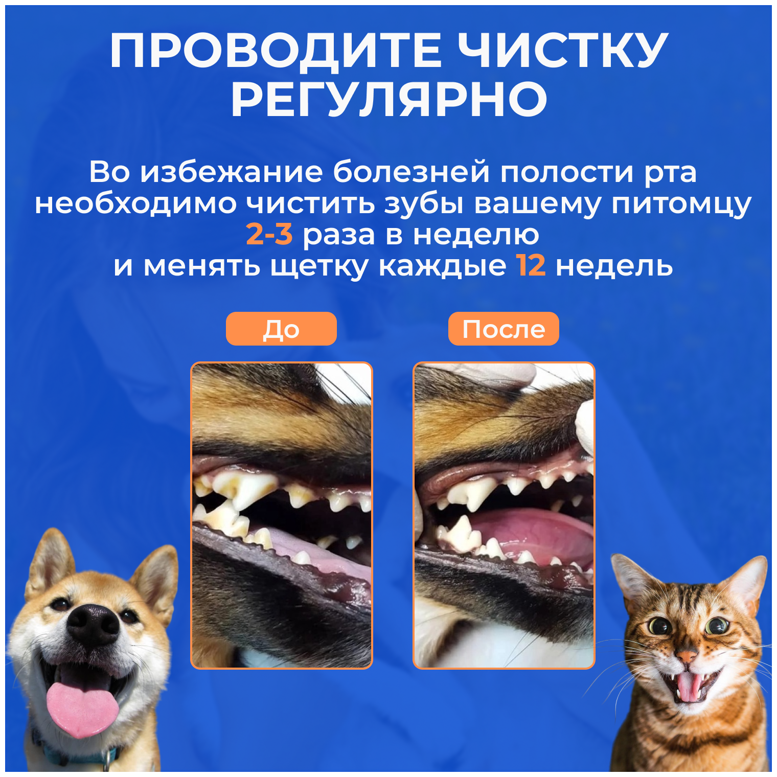 Зубная паста для собак всех пород ; зубная щетка для собак - фотография № 4