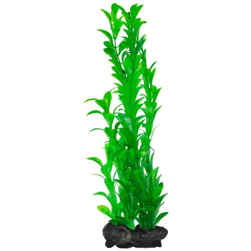 Искусственное растение Tetra Hygrophila L 30 см зелeный