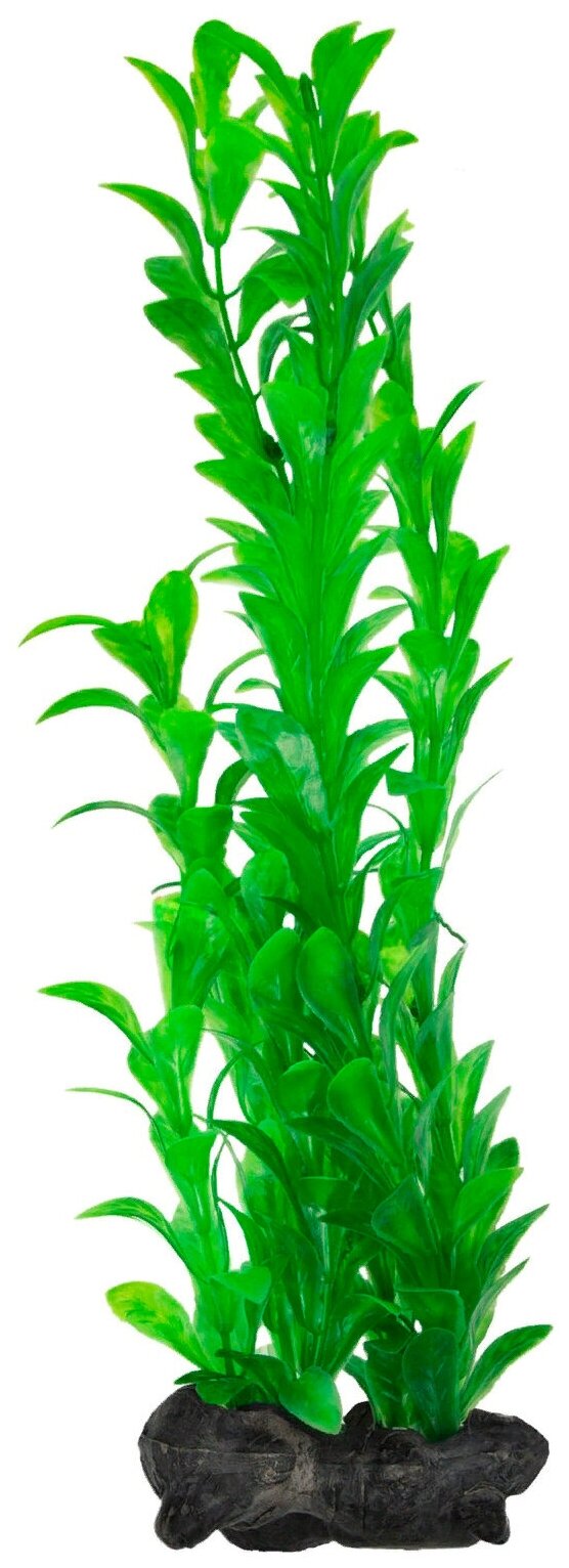 Искусственное растение Tetra Hygrophila L