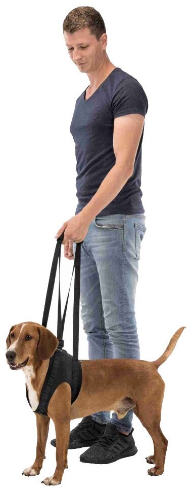 Ветеринарная шлейка для собак Trixie Walking Aid M, черный - фотография № 3