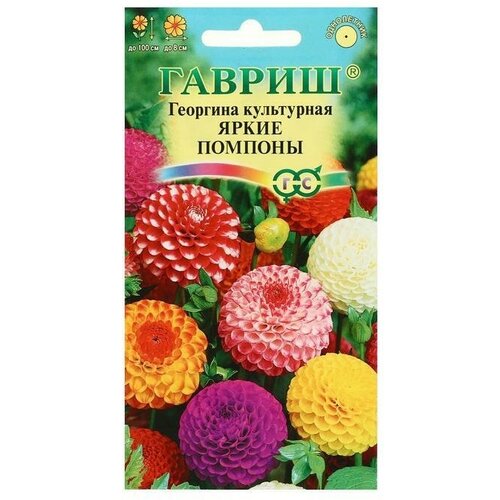 Семена цветов Георгина Яркие помпоны, 0,2 г 5 упаковок семена гавриш георгина яркие помпоны