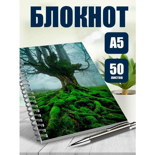 Тетрадь в клетку эстетика леса