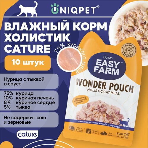 Корм влажный холистик консервированный полнорационный EASY FARM для кошек с Курицей и тыквой, 85г, 10 штук в упаковке