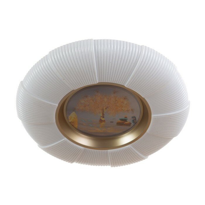 фото BayerLux Светильник с ПДУ "Сакура" LED 72Вт диммер 48х48х7см