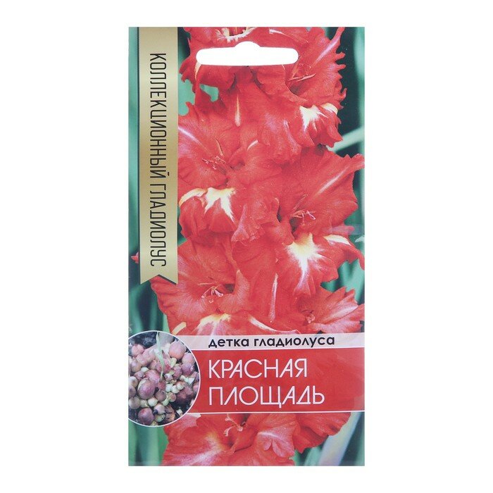 Клубнепочка гладиолуса Красная площадь (красный + немного белого) 5 шт.