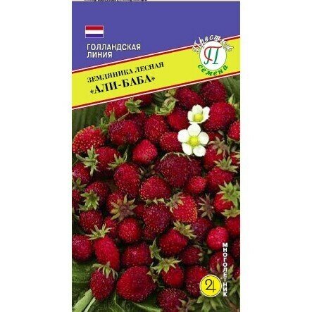 Семена Земляника Али-Баба 01 г (Голландия) (Престиж). Подходит для выращивания в домашних условиях.