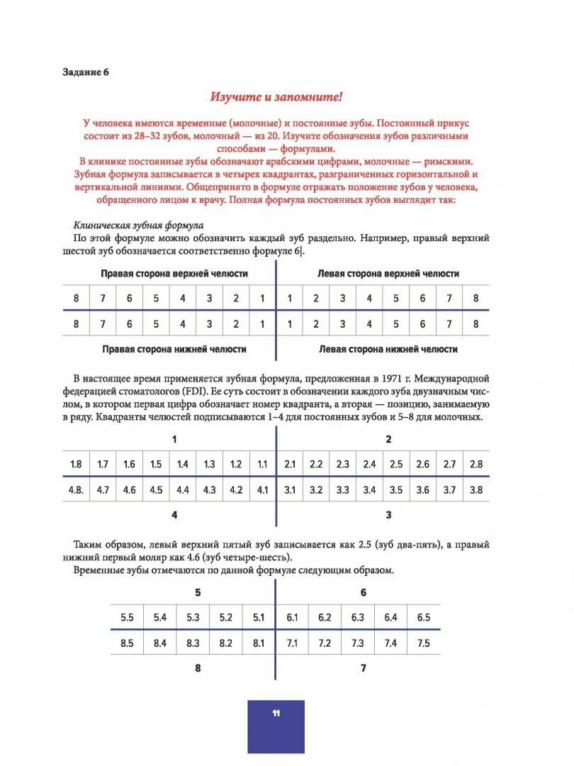Анатомия зубов, зубных рядов. Биомеханика зубочелюстной системы. Рабочая тетрадь - фото №6