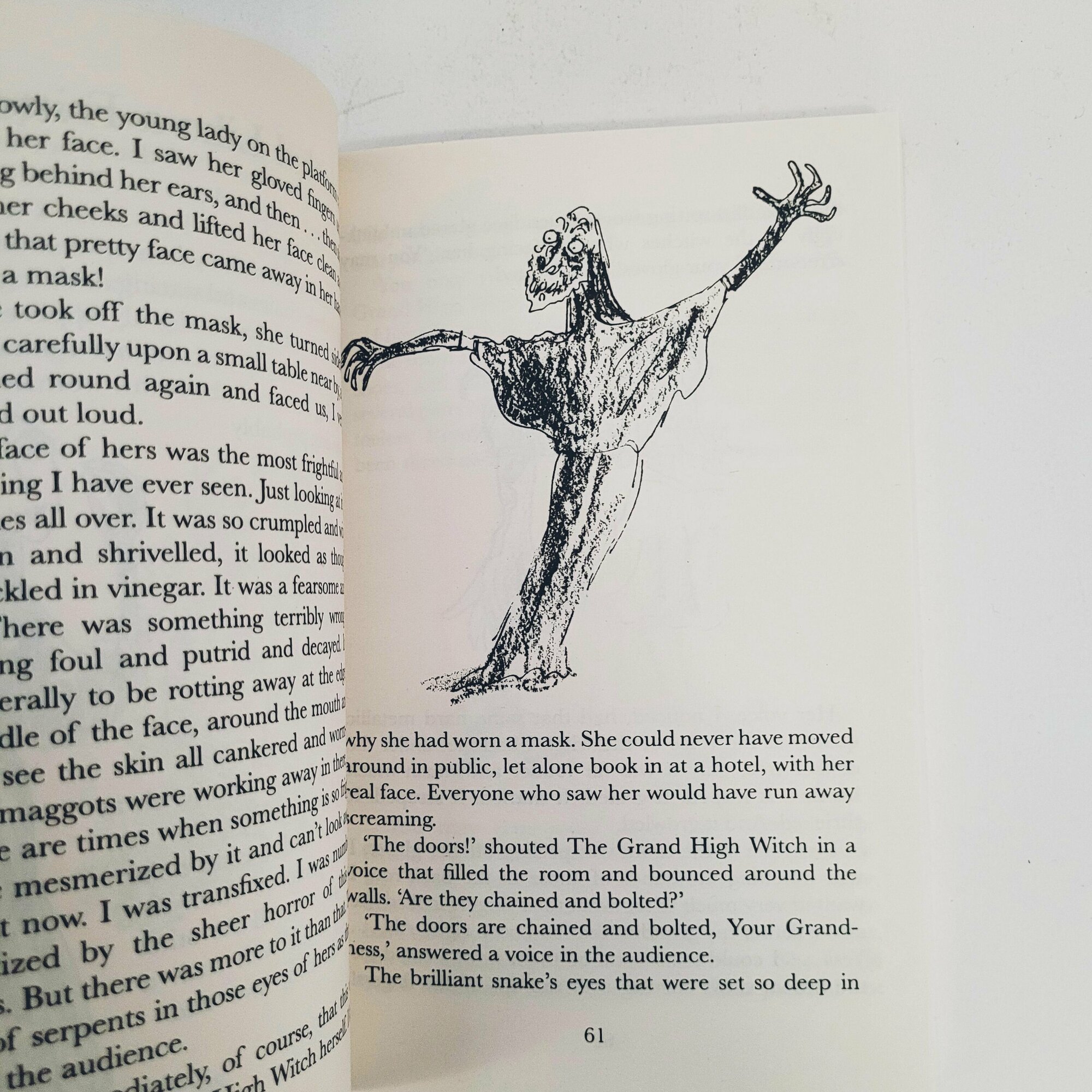 The Witches (Roald Dahl) - фото №13
