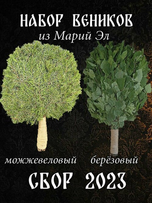 Комплект веников для бани, можжевельник 1 штука и береза 1 штука из Марий Эл