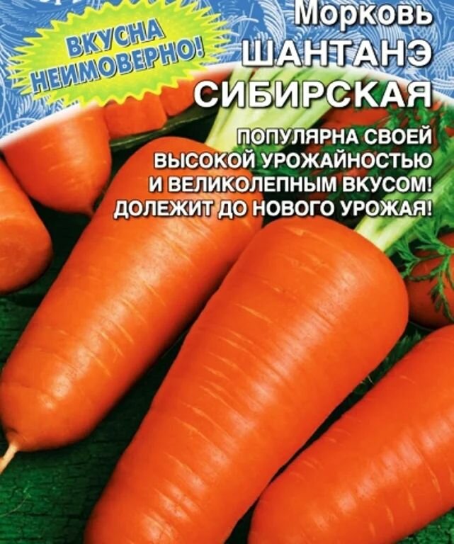 Коллекционные семена моркови Шантанэ Сибирская