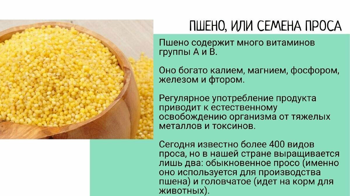 Пшено шлифованное 1 сорт ГОСТ "Кубань Матушка" 800гр (8шт) - фотография № 3