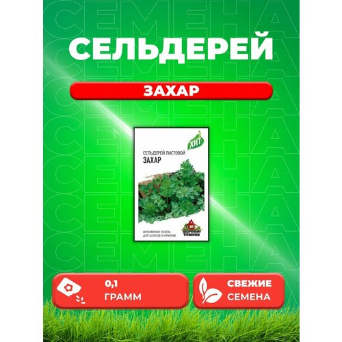 Сельдерей листовой Захар, 0,1г, Удачные , х3 семена сельдерей листовой захар 0 1г удачные семена 10 пакетиков