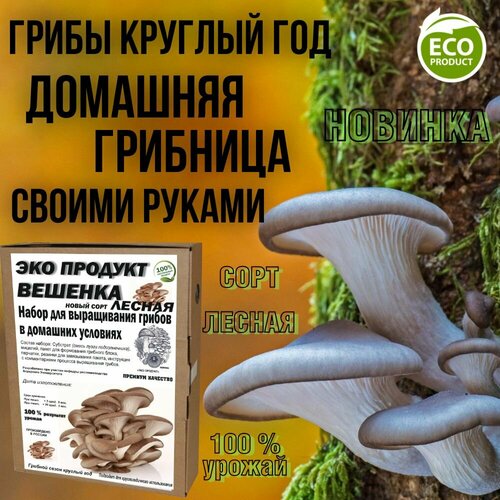 Набор для выращивания грибов (домашняя грибница)