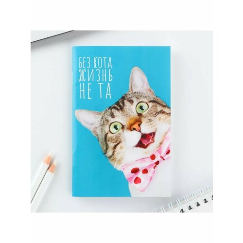 Блокнот А6 32 л в клетку Кот 450₽