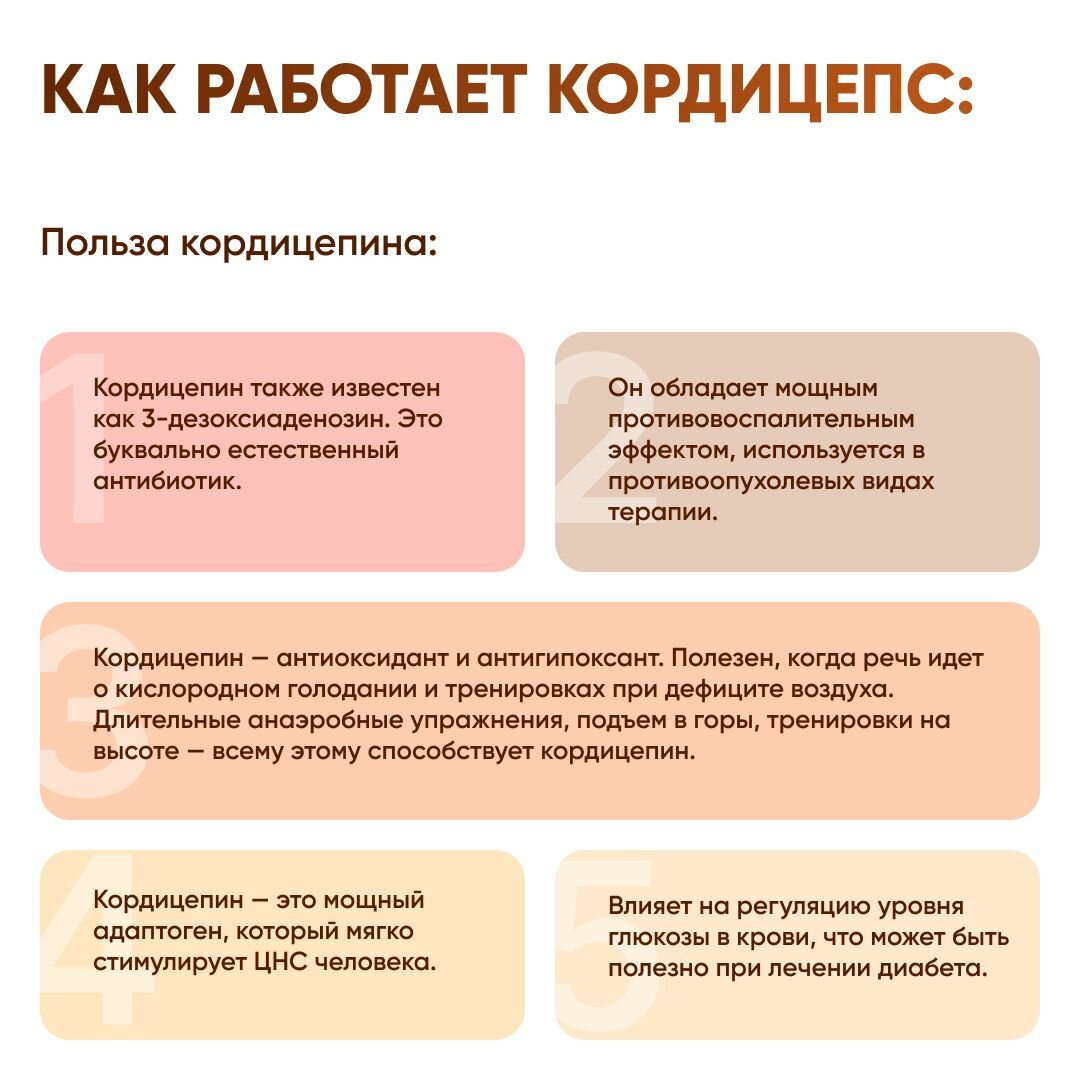 Препараты При Онкологии Специального Применения Жидкий экстракт Кордицепс милитарис, 30 мл (Cordyceps militaris)