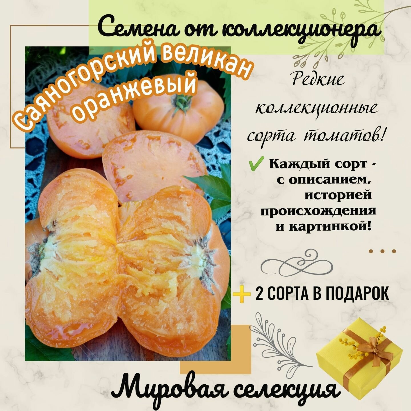 Томат "Саяногорский Великан оранжевый", народная селекция, город Минусинск, Красноярский край, Сибирь