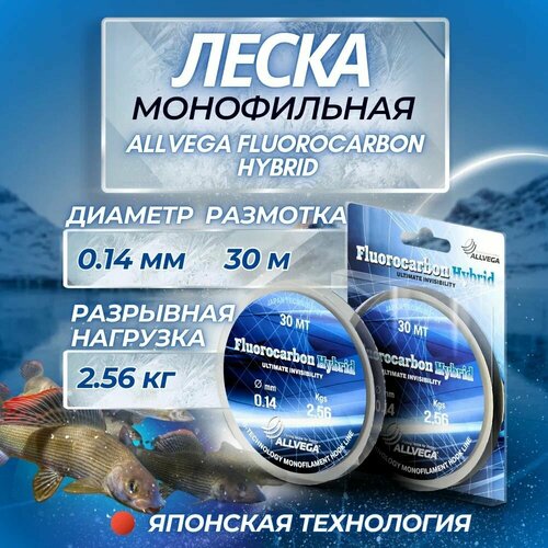 Флюорокарбоновая леска ALLVEGA Fluorocarbon Hybrid, 30 м, 2.6 кг, прозрачный, 1 шт.