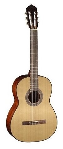 PC90-WBAG-OP Классическая гитара 4/4 с чехлом, Parkwood — фото 1