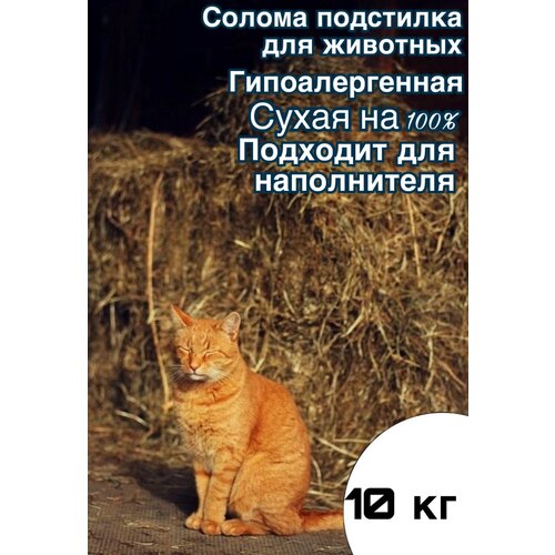 Солома Подстилка для Животных 10 кг