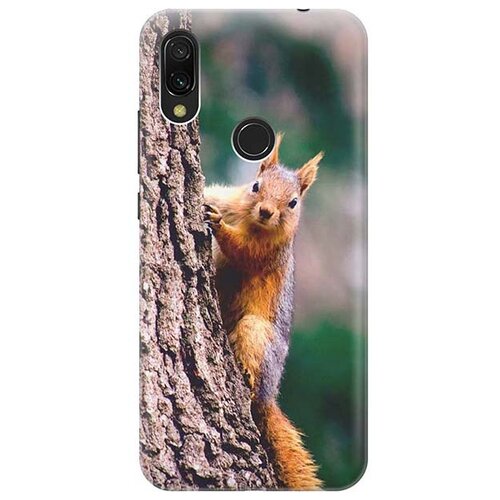 фото Чехол - накладка artcolor для xiaomi redmi 7 с принтом "белочка" re:pa